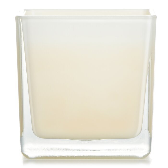 Acqua Dell'Elba Scented Candle - Limonaia Di Sant'Andrea 180g/6.4oz