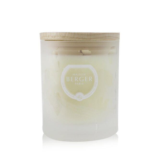 Lampe Berger (Maison Berger Paris) Scented Candle - Aroma Relax 180g/6.3oz